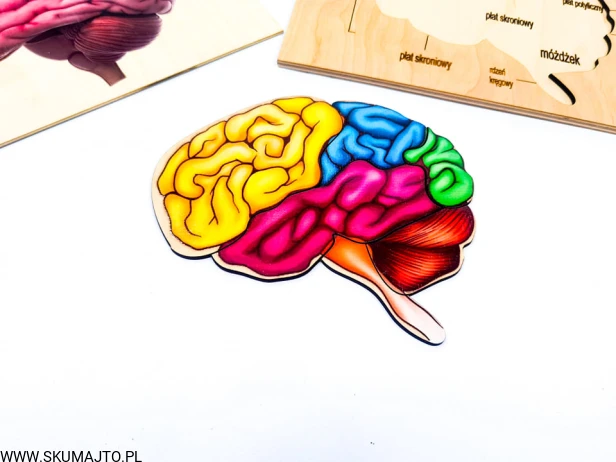 211690440_352314043085055_1746577013295269743_n