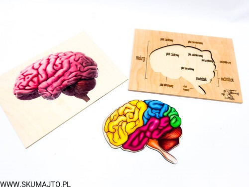 210534434_586798288979955_5092628562471292415_n