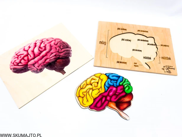 210534434_586798288979955_5092628562471292415_n