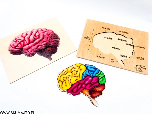 211986890_287643053313842_4074957198689194057_n