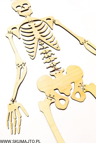 235884359_187768816679479_4155734088597315253_n