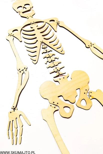 235884359_187768816679479_4155734088597315253_n