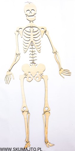 234855949_845604242825320_253075264918213538_n