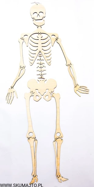 234855949_845604242825320_253075264918213538_n