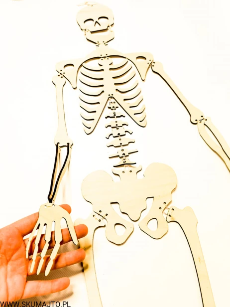 235522578_995529484579632_7768297328393663944_n