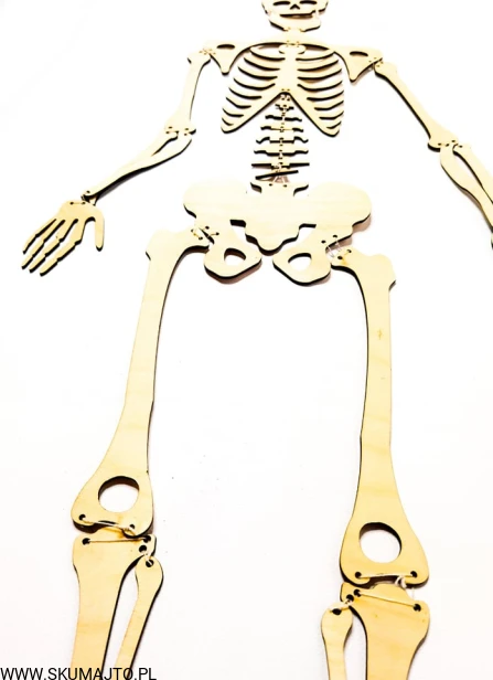 234811345_993454008123072_7942261439241728839_n