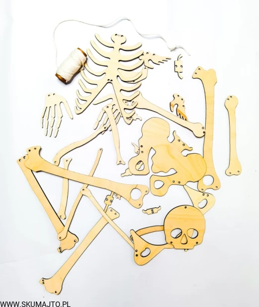 234892327_351096066613724_5266893490711697017_n (1)