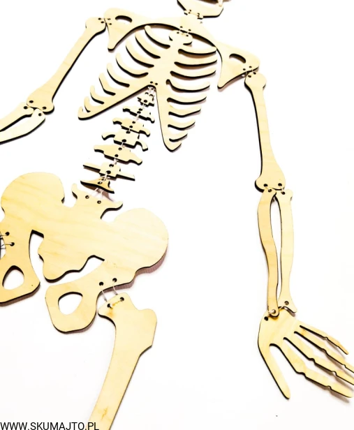 235180188_2998741120413813_7605970937354516128_n