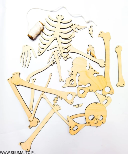 236096898_563858881306317_7815732775311386946_n (1)