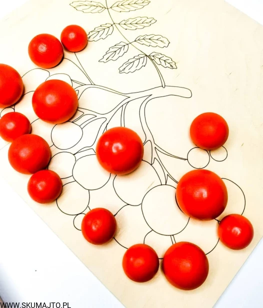 240941331_116326090677021_5658626236031295551_n