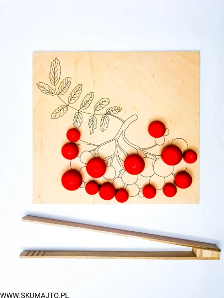 240950492_181108140668248_7387242295127882354_n