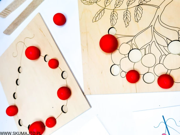 241015017_167657625434621_5804032071066311857_n