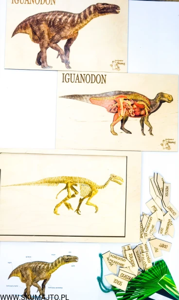 IMG_20210917_160451_edit_46098732284630