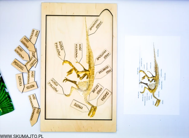 IMG_20210917_160747_edit_21678117725336