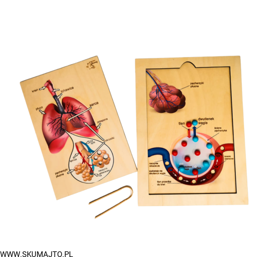 Projekt bez tytułu (32).png