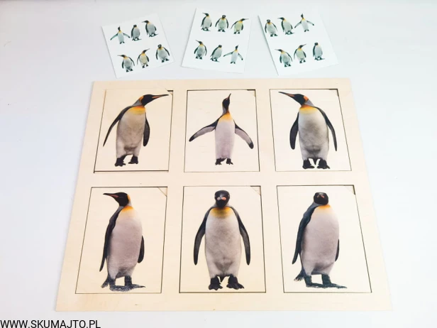 249415898_565787961164015_9221678296994136380_n (1).jpg