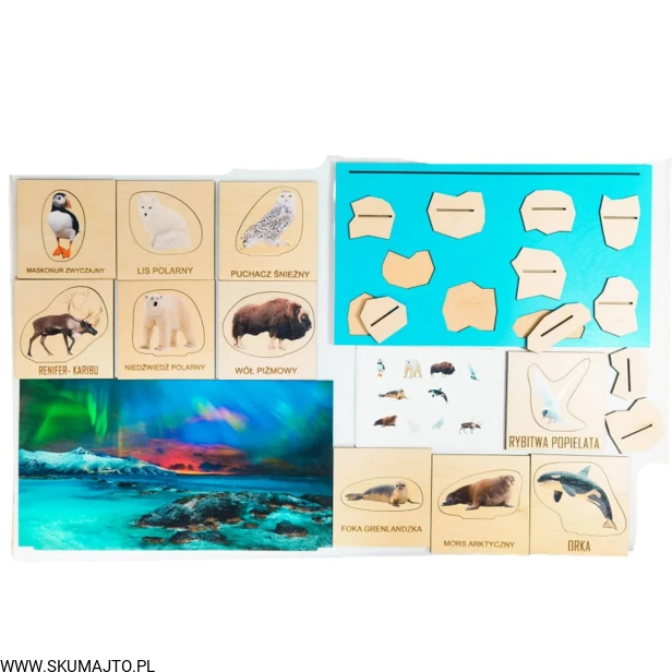 Projekt bez tytułu (2).jpg