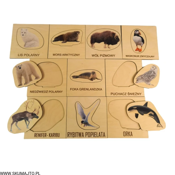 Projekt bez tytułu (4).jpg