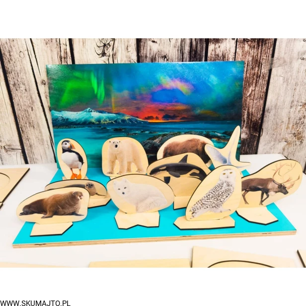 Projekt bez tytułu (6).jpg