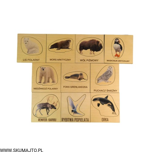 Projekt bez tytułu (3).jpg