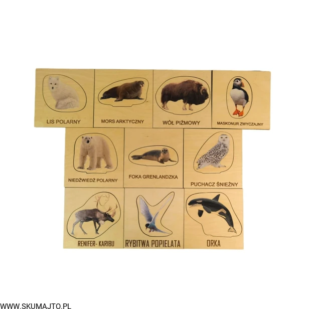 Projekt bez tytułu (3).jpg