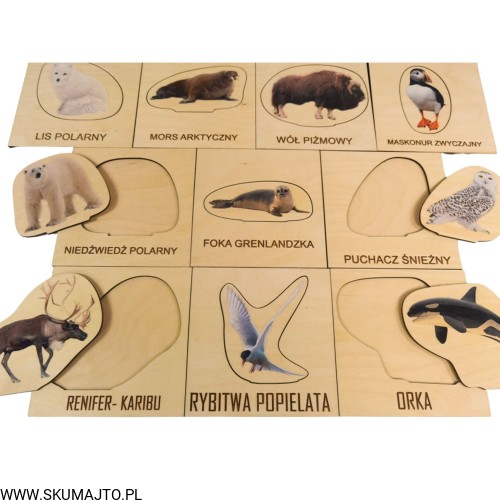 Projekt bez tytułu (5).jpg