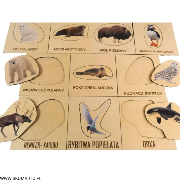 Projekt bez tytułu (5).jpg