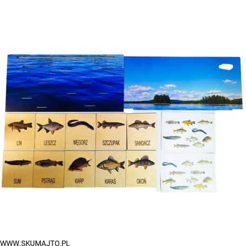 Projekt bez tytułu - 2022-03-02T114819.986.jpg