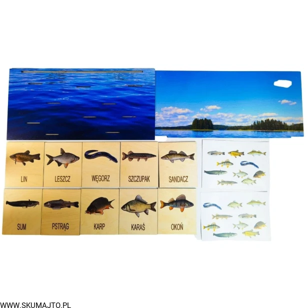 Projekt bez tytułu - 2022-03-02T114819.986.jpg