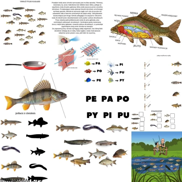Projekt bez tytułu - 2022-03-02T125818.121.jpg