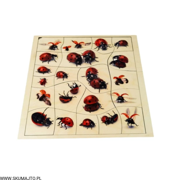 Projekt bez tytułu - 2022-04-03T171225.211.jpg