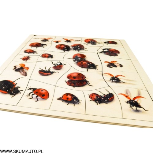 Projekt bez tytułu - 2022-04-03T171148.918.jpg