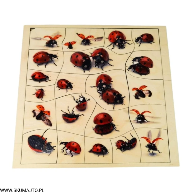 Projekt bez tytułu - 2022-04-03T170913.425.jpg