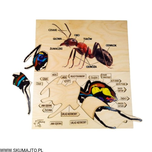 Projekt bez tytułu - 2022-04-03T173811.493.jpg