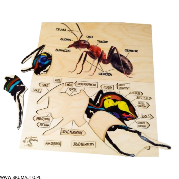 Projekt bez tytułu - 2022-04-03T173734.229.jpg