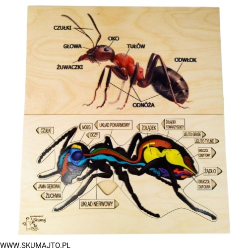 Projekt bez tytułu - 2022-04-03T173656.312.jpg