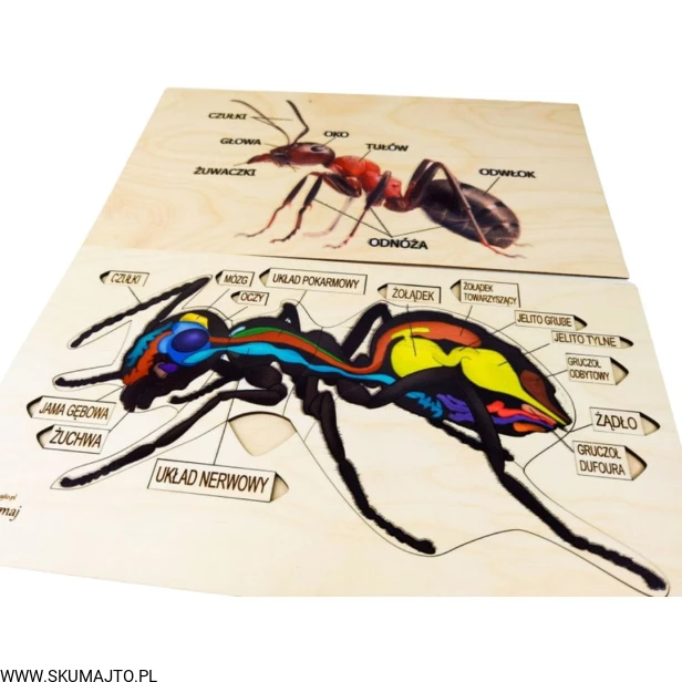 Projekt bez tytułu - 2022-04-03T173618.580.jpg