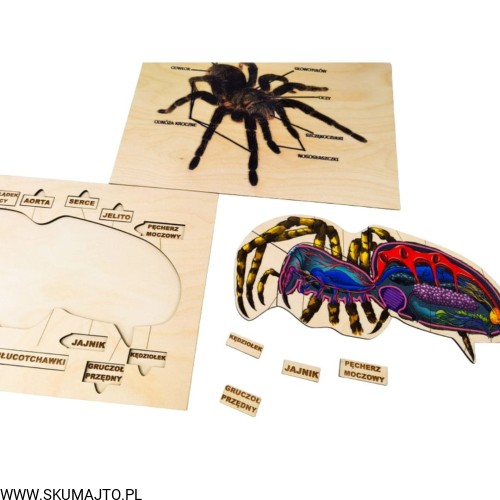 Projekt bez tytułu - 2022-04-03T185424.714.jpg