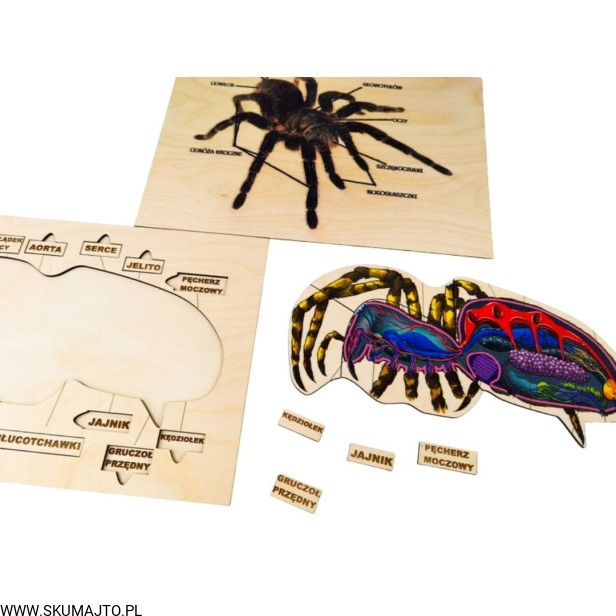 Projekt bez tytułu - 2022-04-03T185424.714.jpg