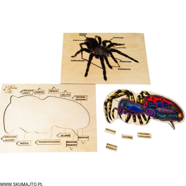 Projekt bez tytułu - 2022-04-03T185400.370.jpg