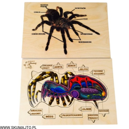 Projekt bez tytułu - 2022-04-03T185320.530.jpg