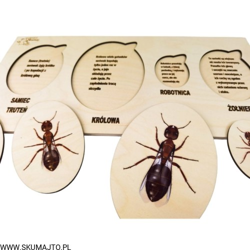 Projekt bez tytułu - 2022-04-03T191001.507.jpg