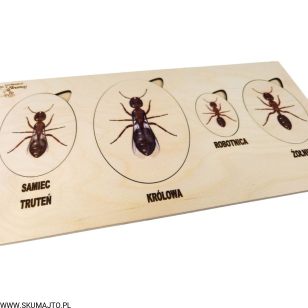 Projekt bez tytułu - 2022-04-03T190930.689.jpg