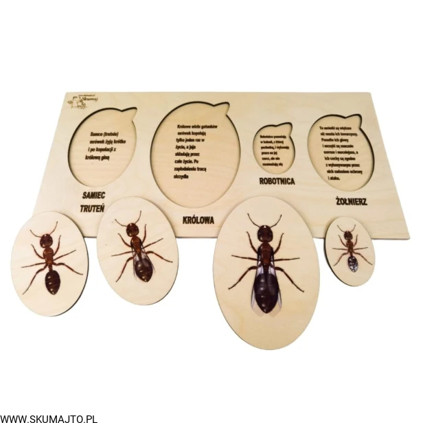 Projekt bez tytułu - 2022-04-03T190837.889.jpg