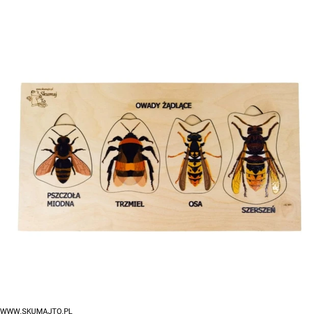 Projekt bez tytułu - 2022-04-03T194209.157.jpg