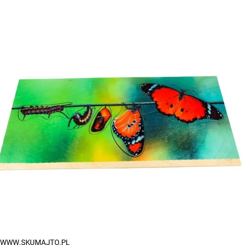 Projekt bez tytułu - 2022-04-03T211458.884.jpg