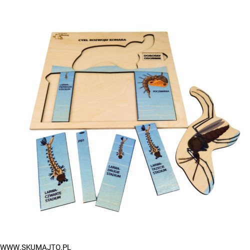 Projekt bez tytułu - 2022-04-03T214034.886.jpg