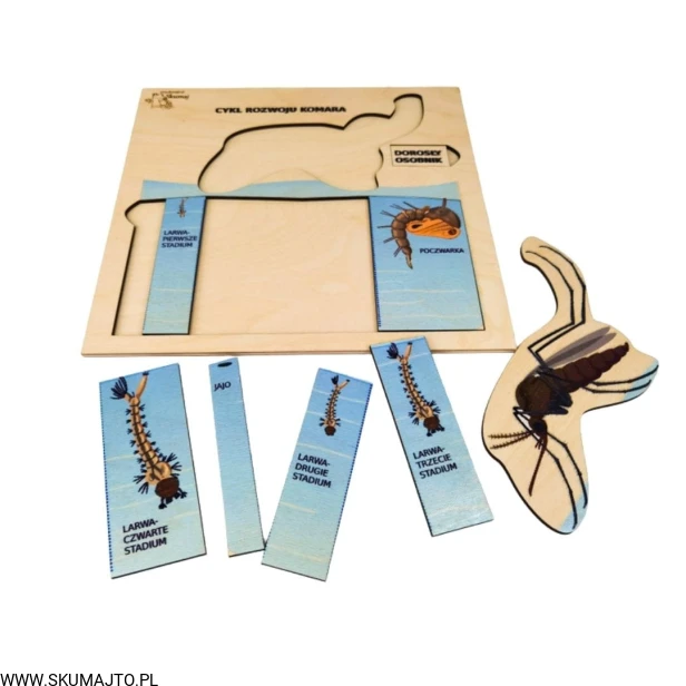 Projekt bez tytułu - 2022-04-03T214034.886.jpg