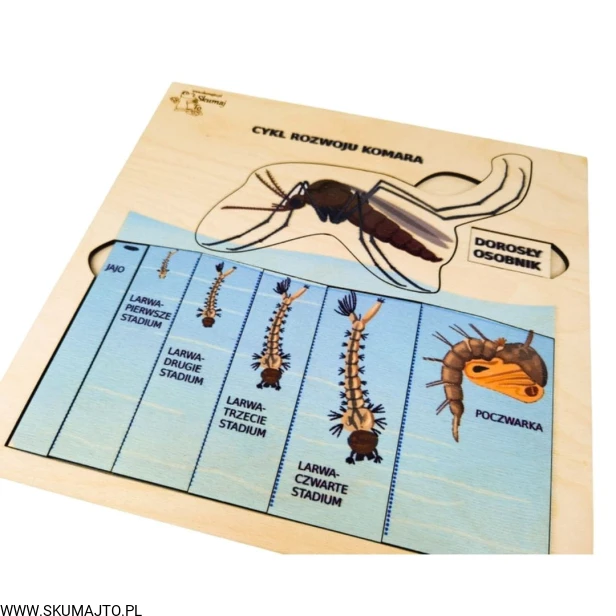 Projekt bez tytułu - 2022-04-03T213940.815.jpg