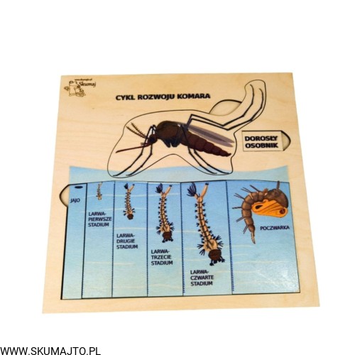 Projekt bez tytułu - 2022-04-03T213914.707.jpg